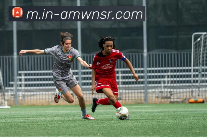 辅助工具 辅助工具